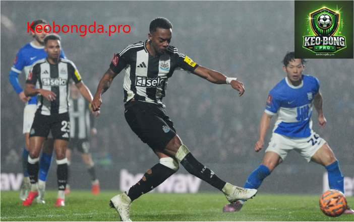 Dự đoán bóng đá Birmingham vs Newcastle, 00h45 ngày 9/2: Sức Mạnh Ý Chí 